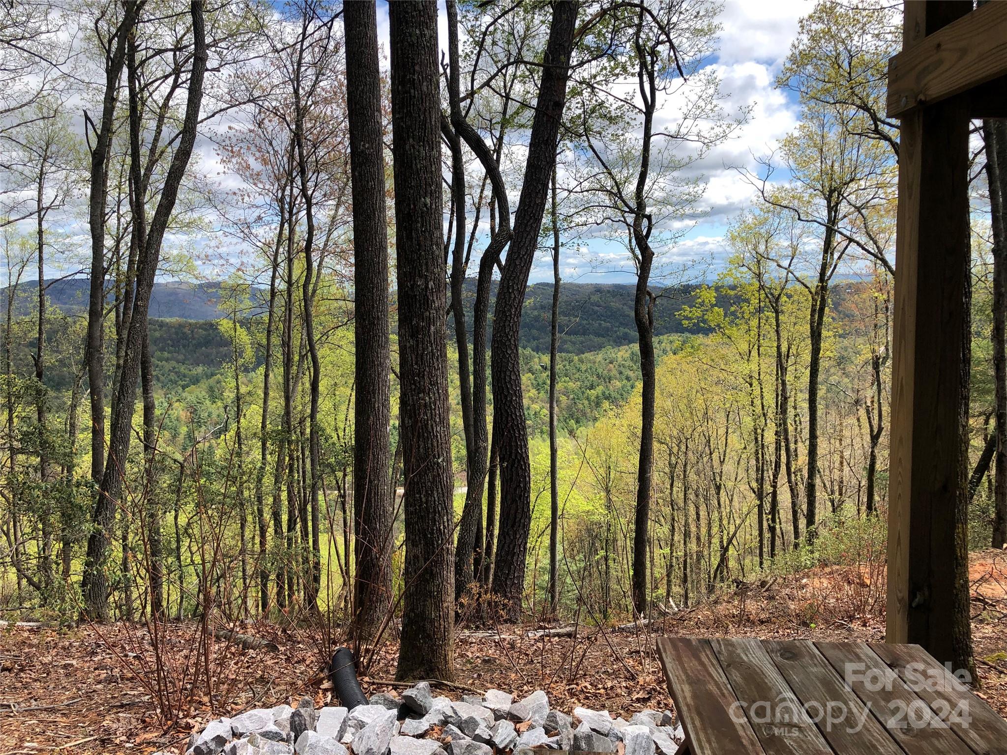 Tbd Deer Run, Unit 225 Purlear, NC 28665 - Photo 15 of 35 Gallery Image 15