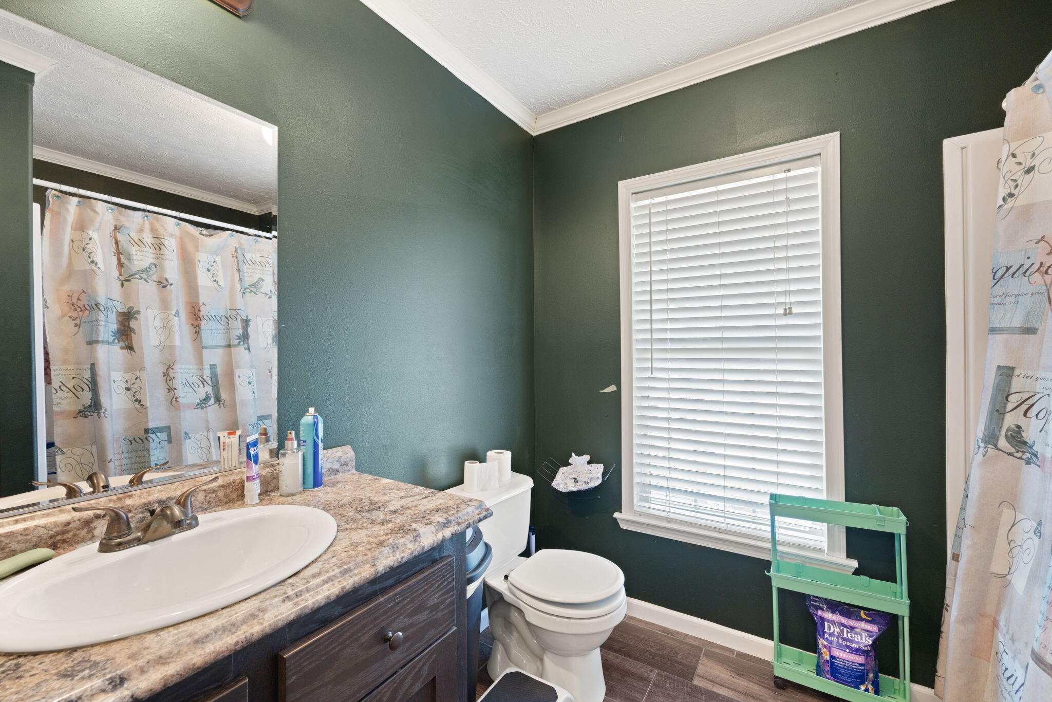 111 Carter School Road Stanford, KY 40484 - Photo 50 of 103 47-web-or-mls-2W0A0138