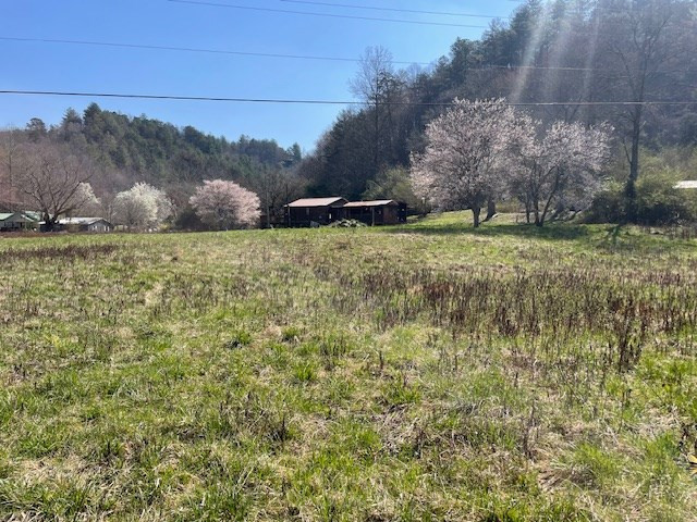 107 Minor Road Marble, NC 28905 - Photo 23 of 40