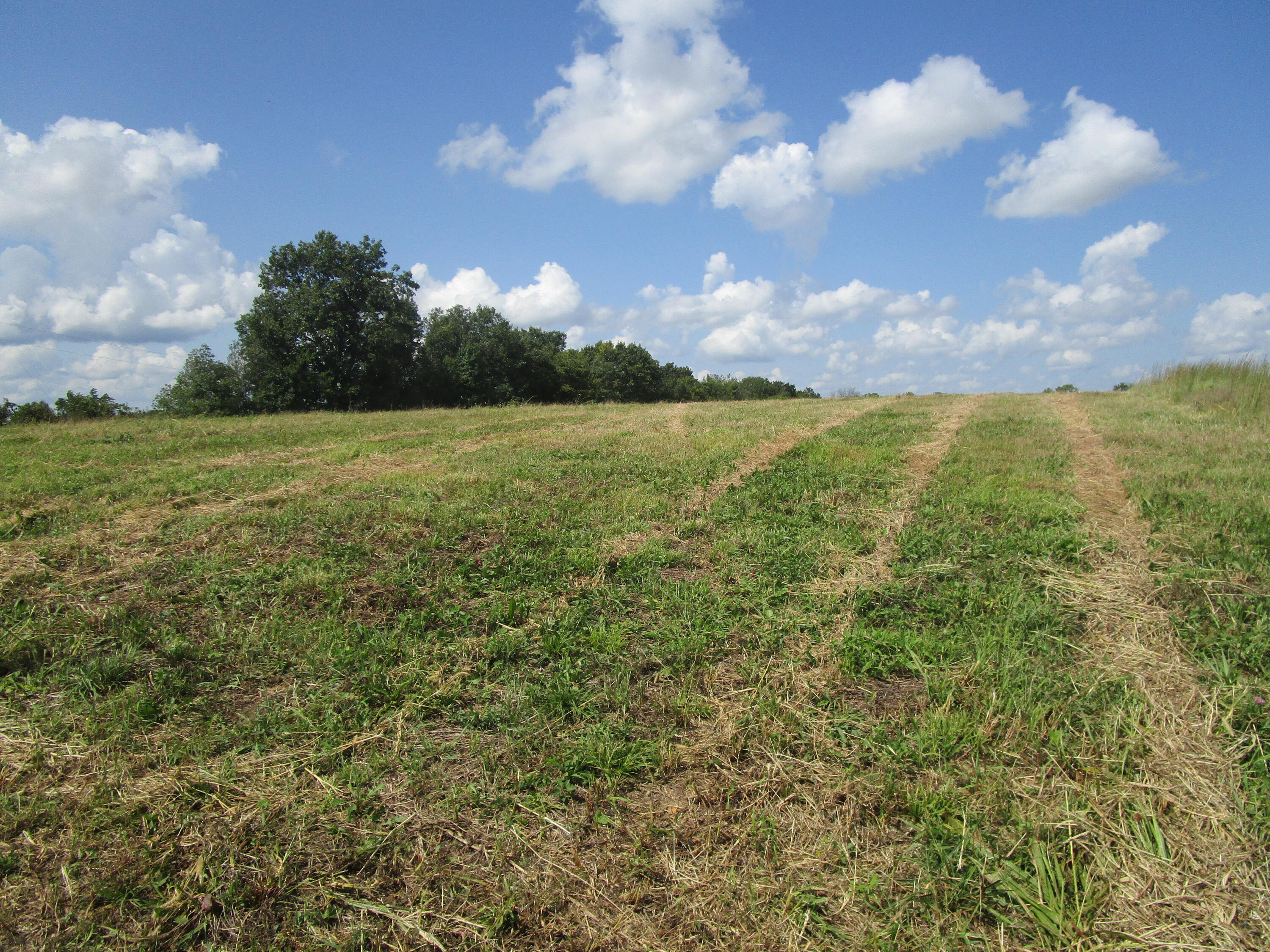 325 Wheat School Road Salvisa, KY 40372 - Photo 7 of 8 IMG_0371