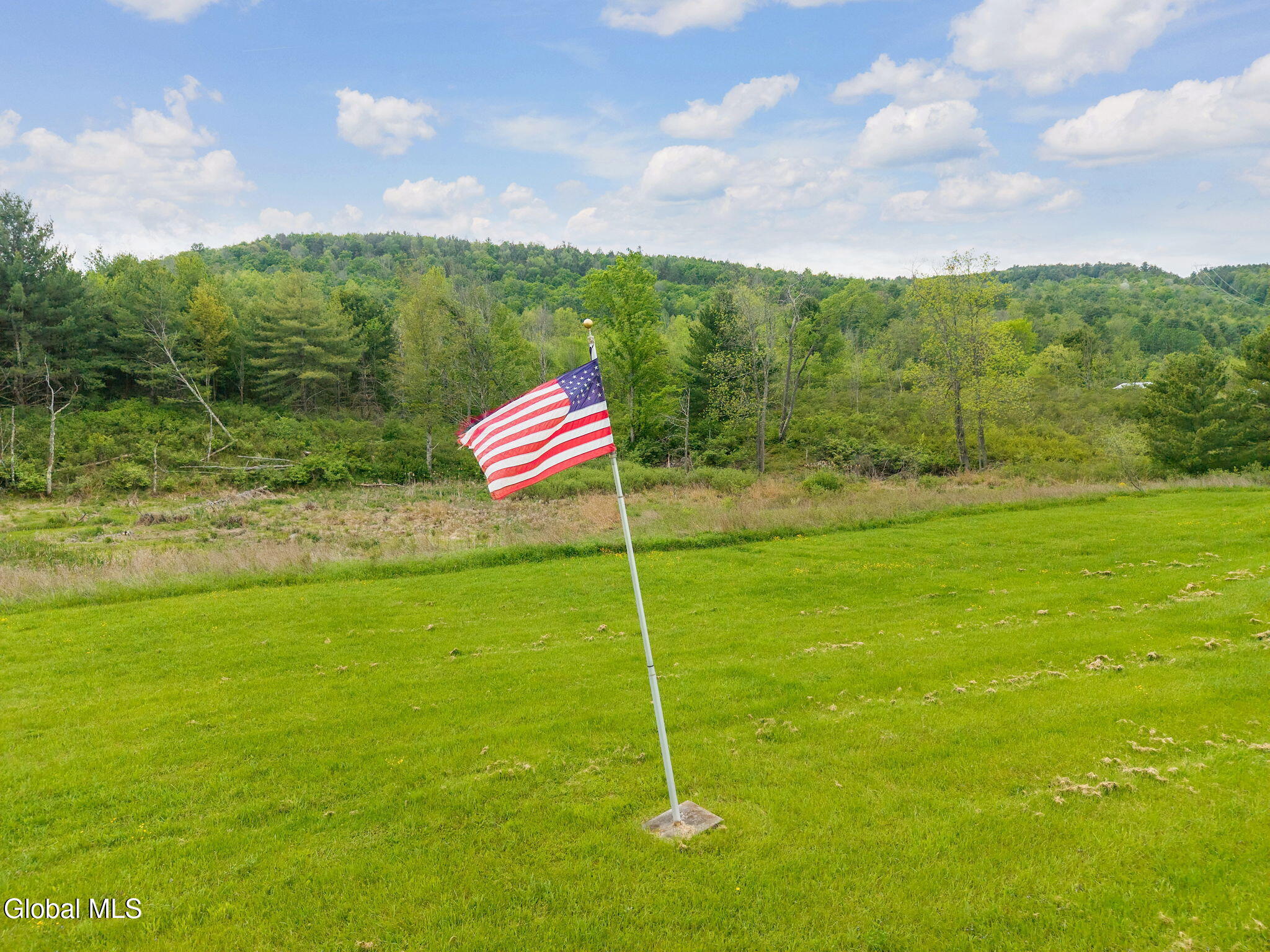 1432 Shew Hollow Road Gilboa, NY 12076 - Photo 41 of 55 46-1432ShewHollowRd_46
