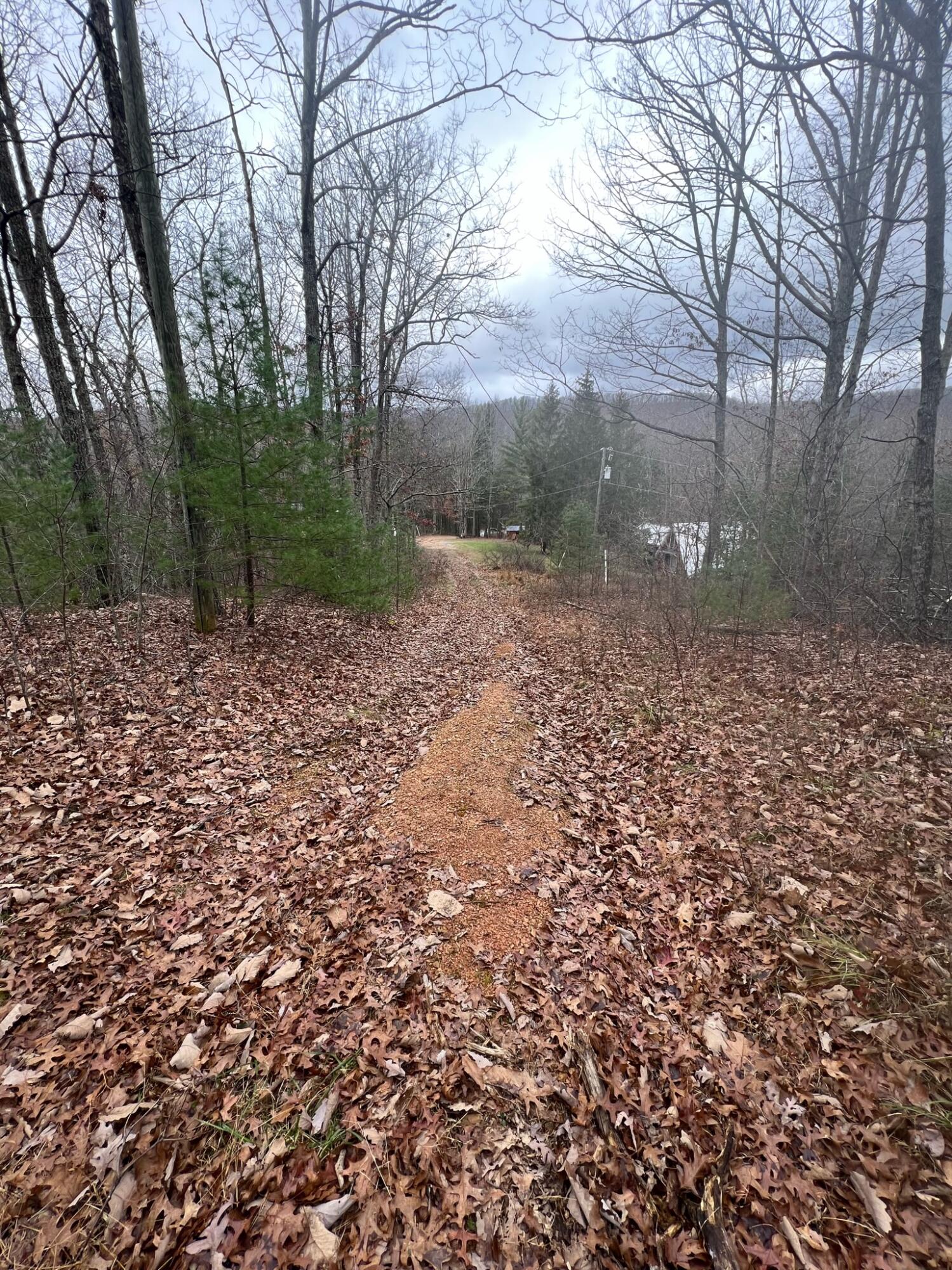 Wildcat Hill Road Gap Mills, WV 24941 - Photo 35 of 37 Gallery Image 35