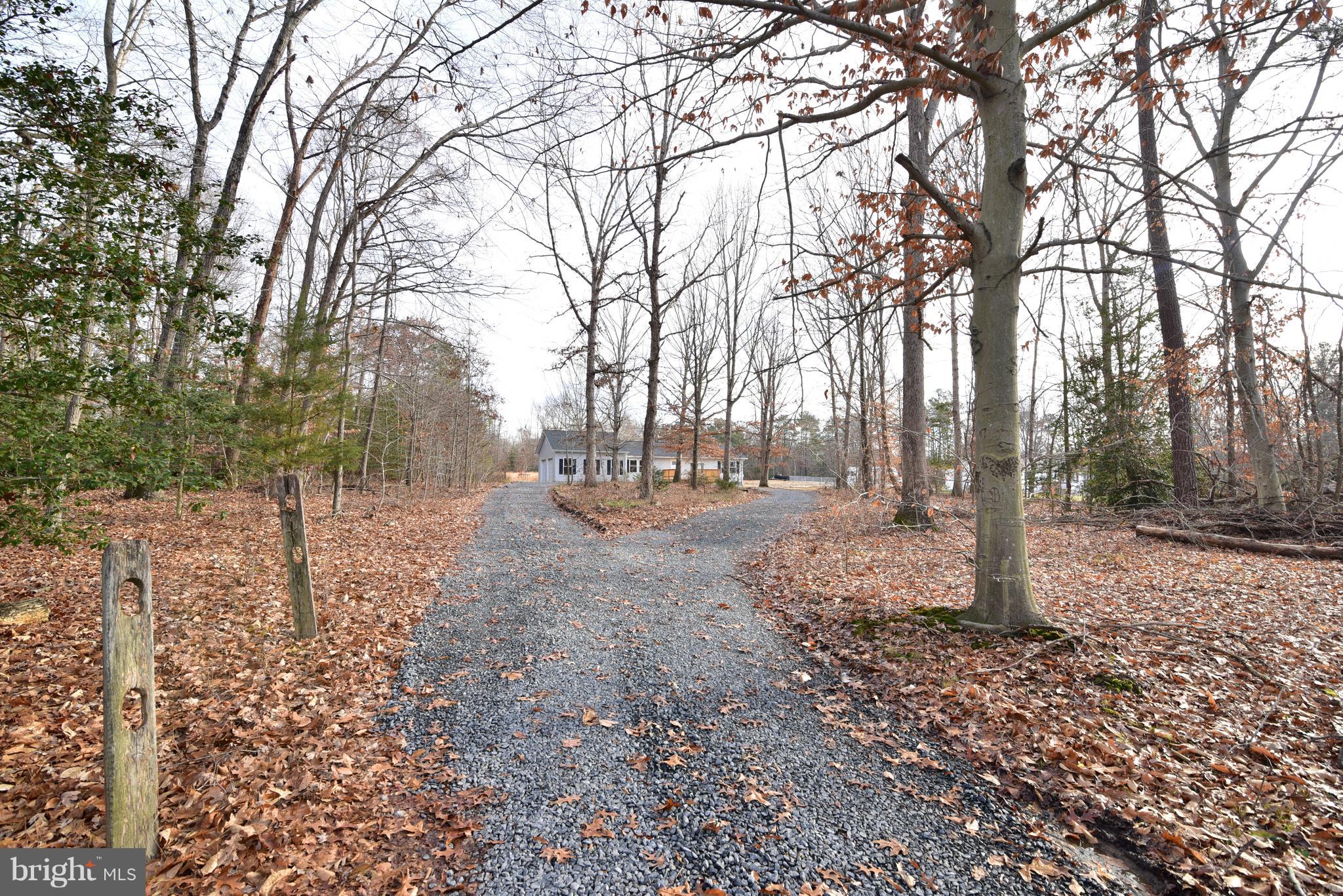 24106 Hurry Road Chaptico, MD 20621 - Photo 3 of 46 Driveway to House