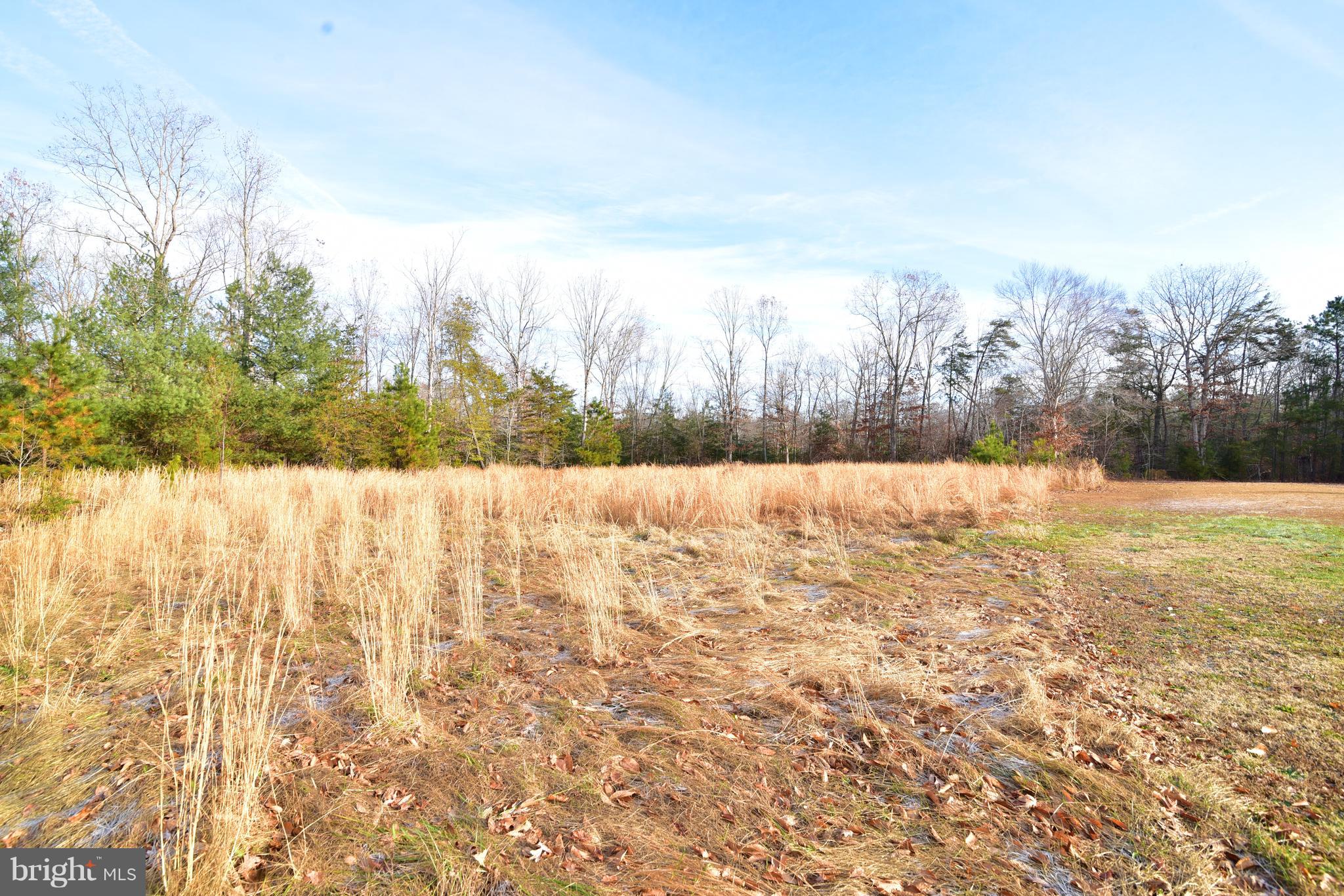 24106 Hurry Road Chaptico, MD 20621 - Photo 41 of 46 Back Yard