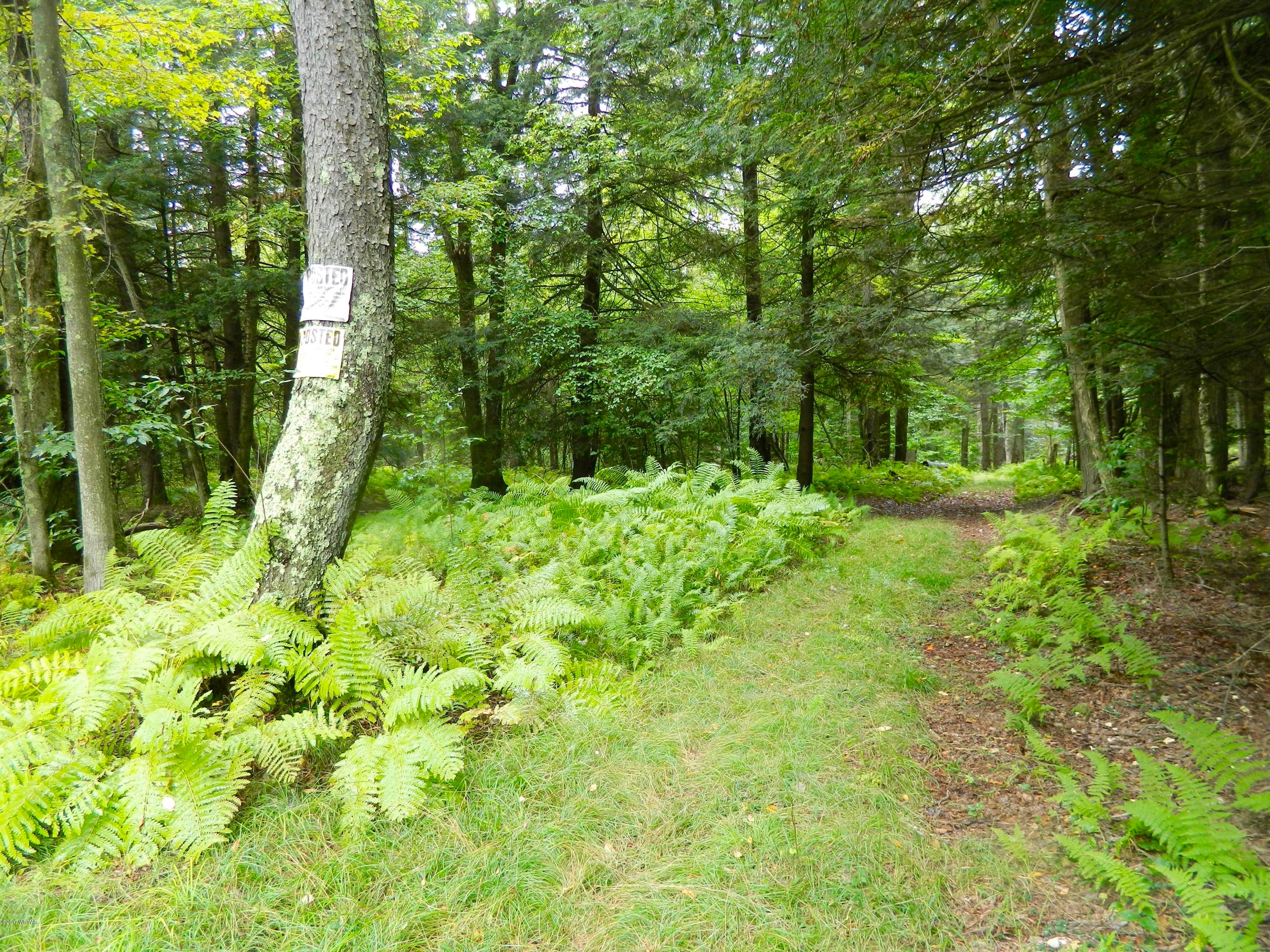 0 Karge Road Dushore, PA 18614 - Photo 2 of 6 Tamburro 2