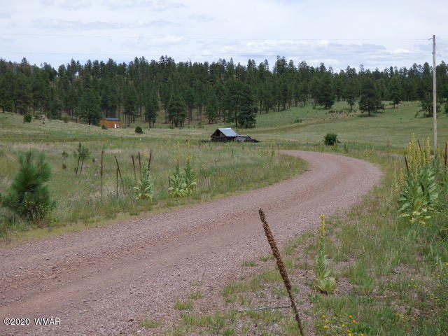 Lot 29 The Ranch Alpine, AZ 85920 - Photo 12 of 23