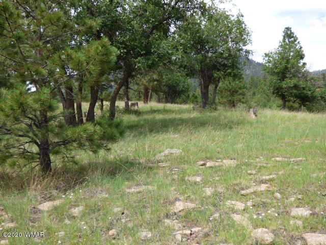 Lot 29 The Ranch Alpine, AZ 85920 - Photo 15 of 23