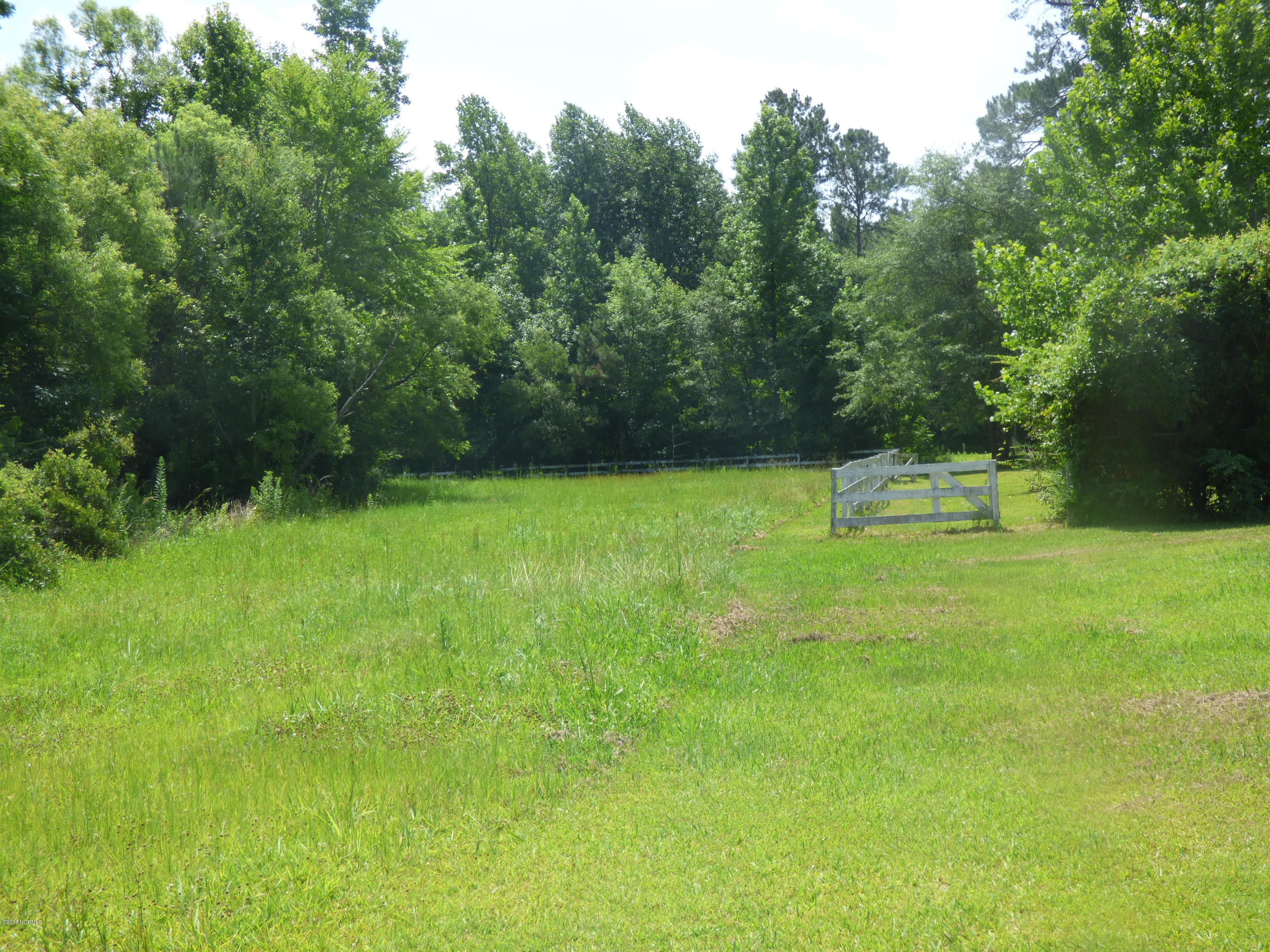 46 Hufham Road Bolton, NC 28423 - Photo 8 of 13 Pasture area