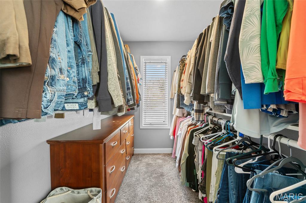 2100 Marine Road Highland, IL 62249 - Photo 39 of 52