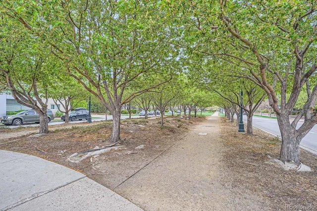 a view of a tree in front of a house