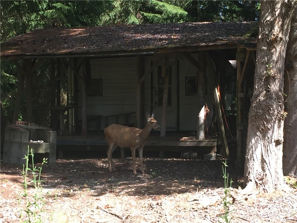 801 Schwartz Road Nordland, WA 98358 - Photo 1 of 14 Gallery Image 1