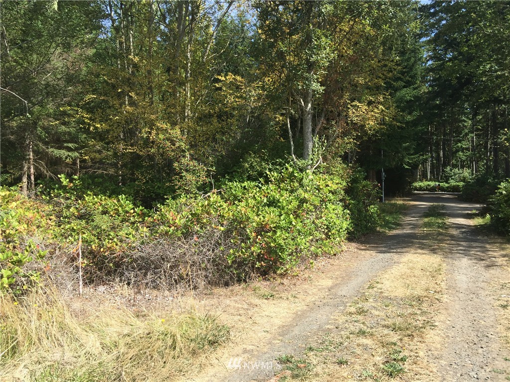 801 Schwartz Road Nordland, WA 98358 - Photo 14 of 14 Gallery Image 14
