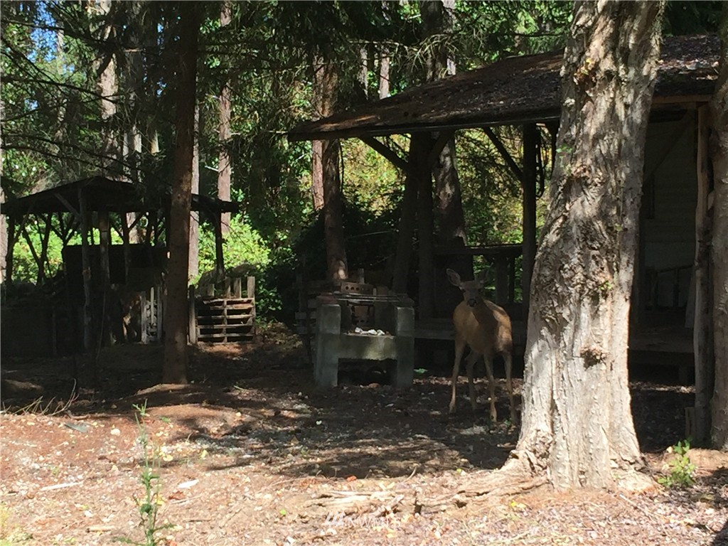801 Schwartz Road Nordland, WA 98358 - Photo 9 of 14 Gallery Image 9