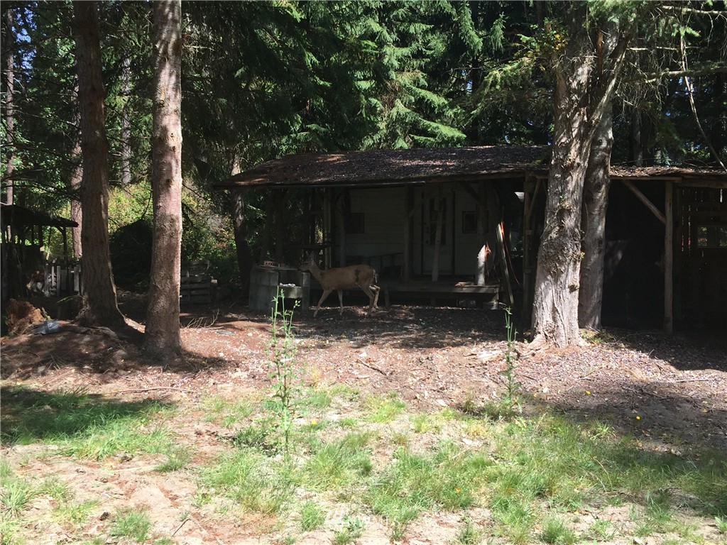 801 Schwartz Road Nordland, WA 98358 - Photo 10 of 14 Gallery Image 10