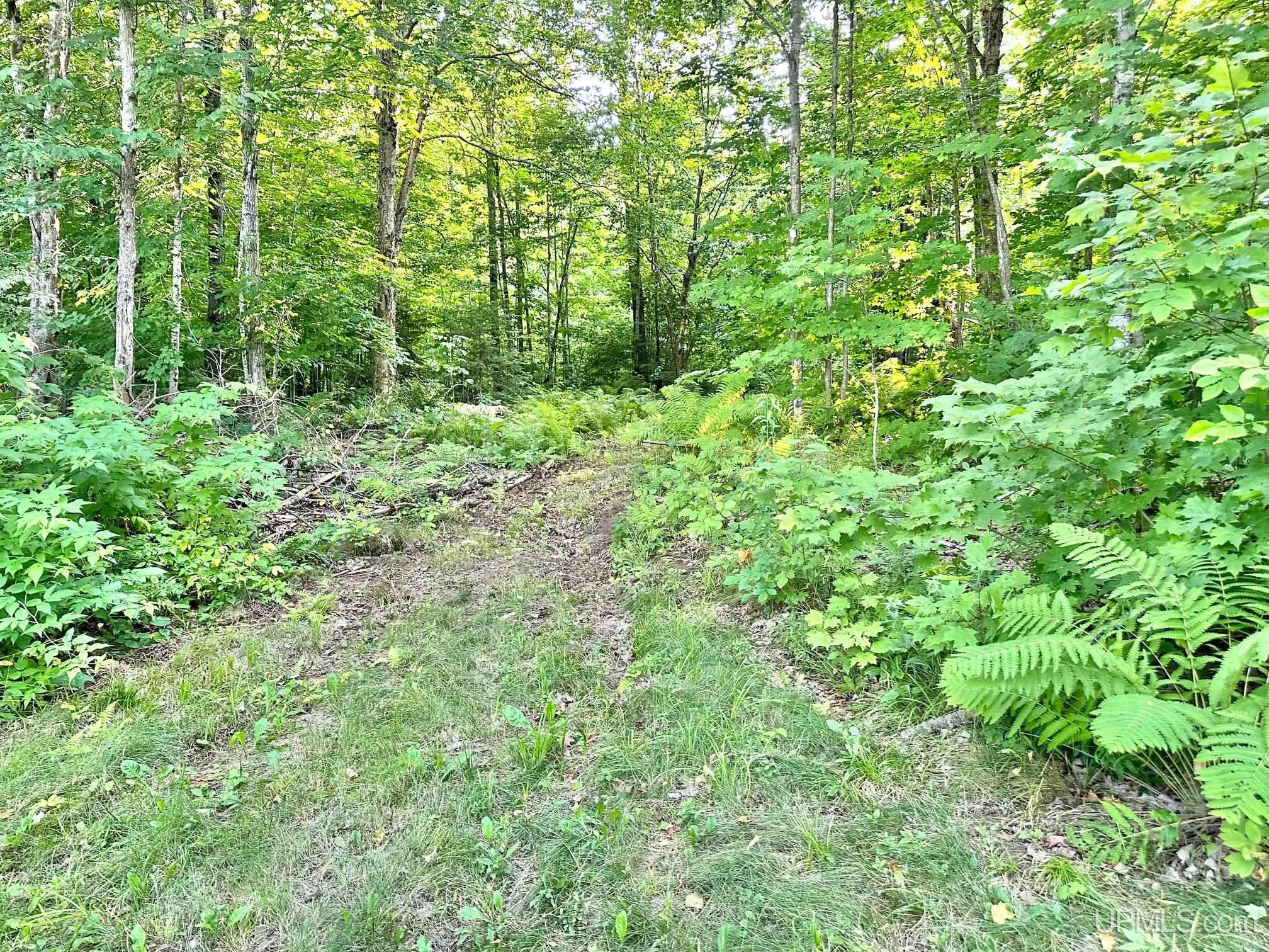 11301 W Box Spring Road Saxon, WI 54559 - Photo 33 of 42