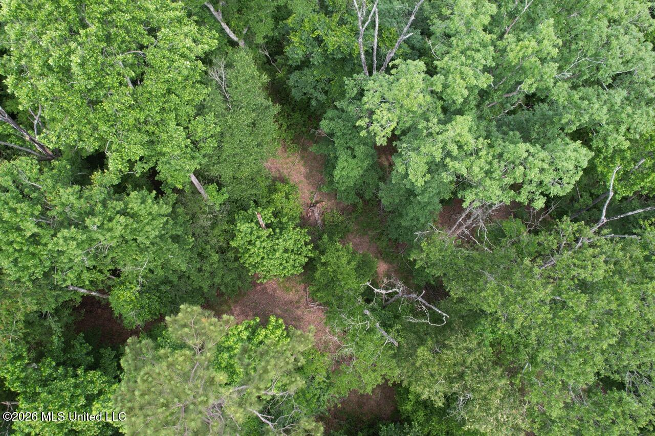 4155 Sterling Lane Liberty, MS 39645 - Photo 11 of 23 DJI_0034 Large