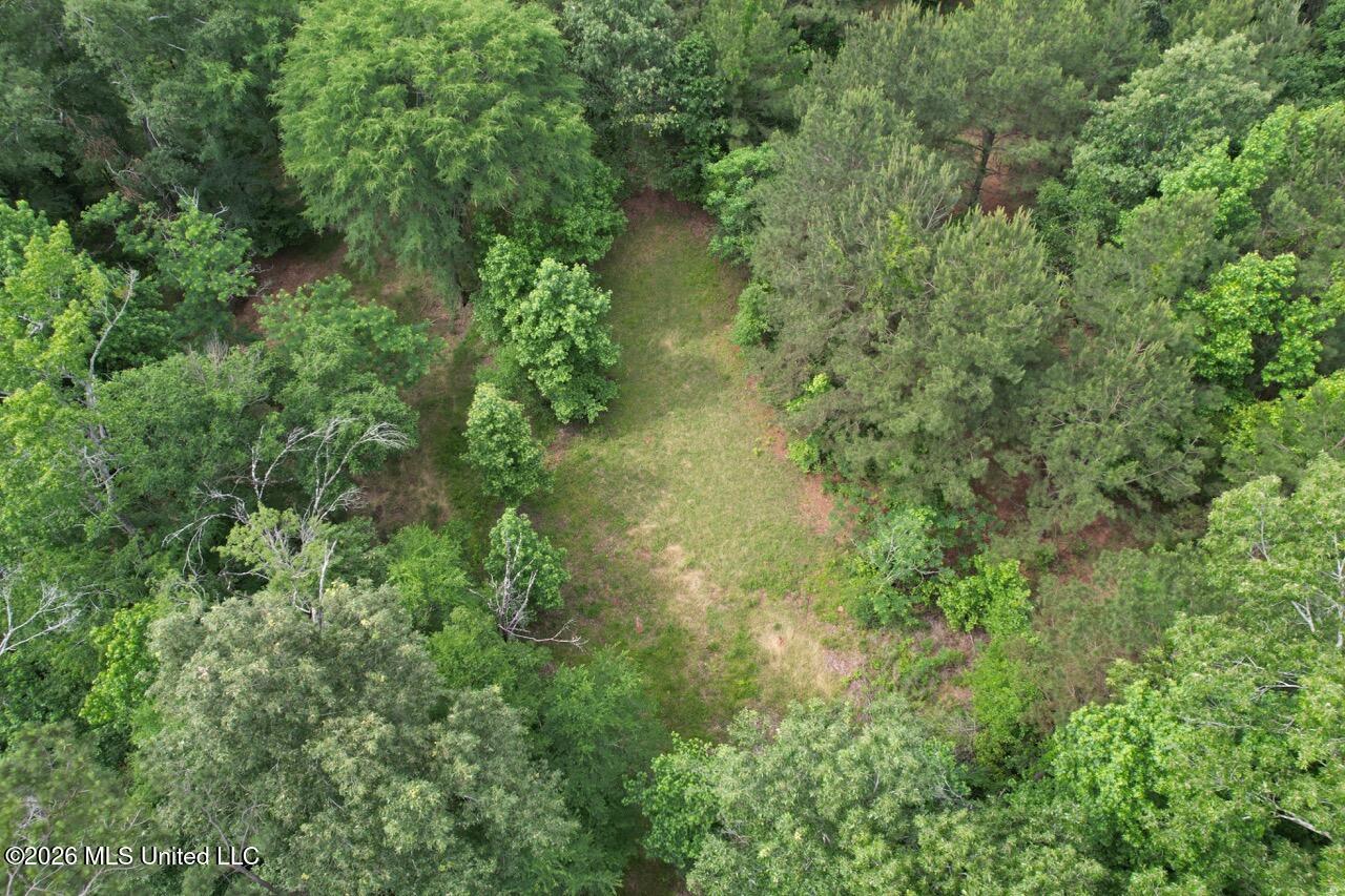 4155 Sterling Lane Liberty, MS 39645 - Photo 12 of 23 DJI_0035 Large