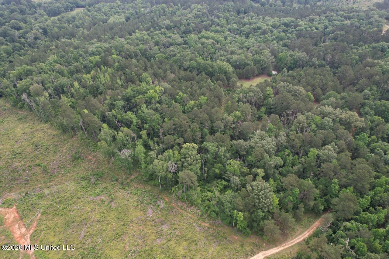 4155 Sterling Lane Liberty, MS 39645 - Photo 13 of 23 DJI_0041 Large