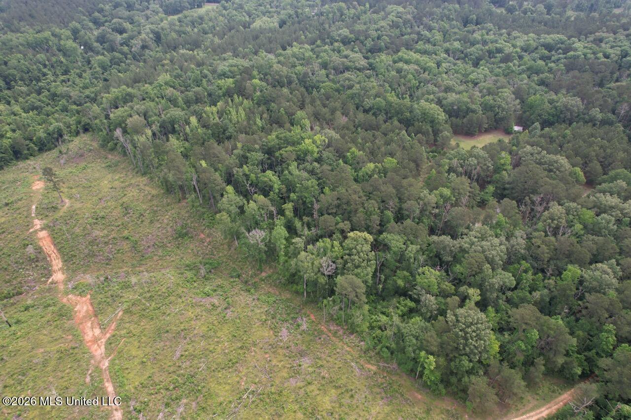 4155 Sterling Lane Liberty, MS 39645 - Photo 14 of 23 DJI_0042 Large