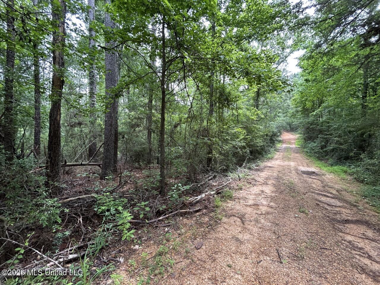 4155 Sterling Lane Liberty, MS 39645 - Photo 15 of 23 IMG_4182 Large
