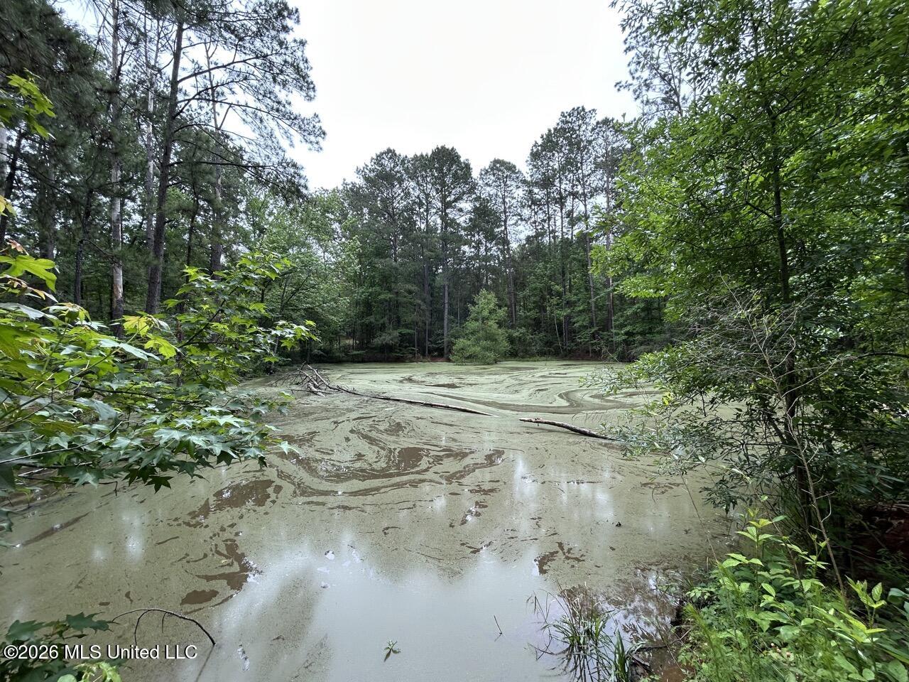 4155 Sterling Lane Liberty, MS 39645 - Photo 18 of 23 IMG_4185 Large