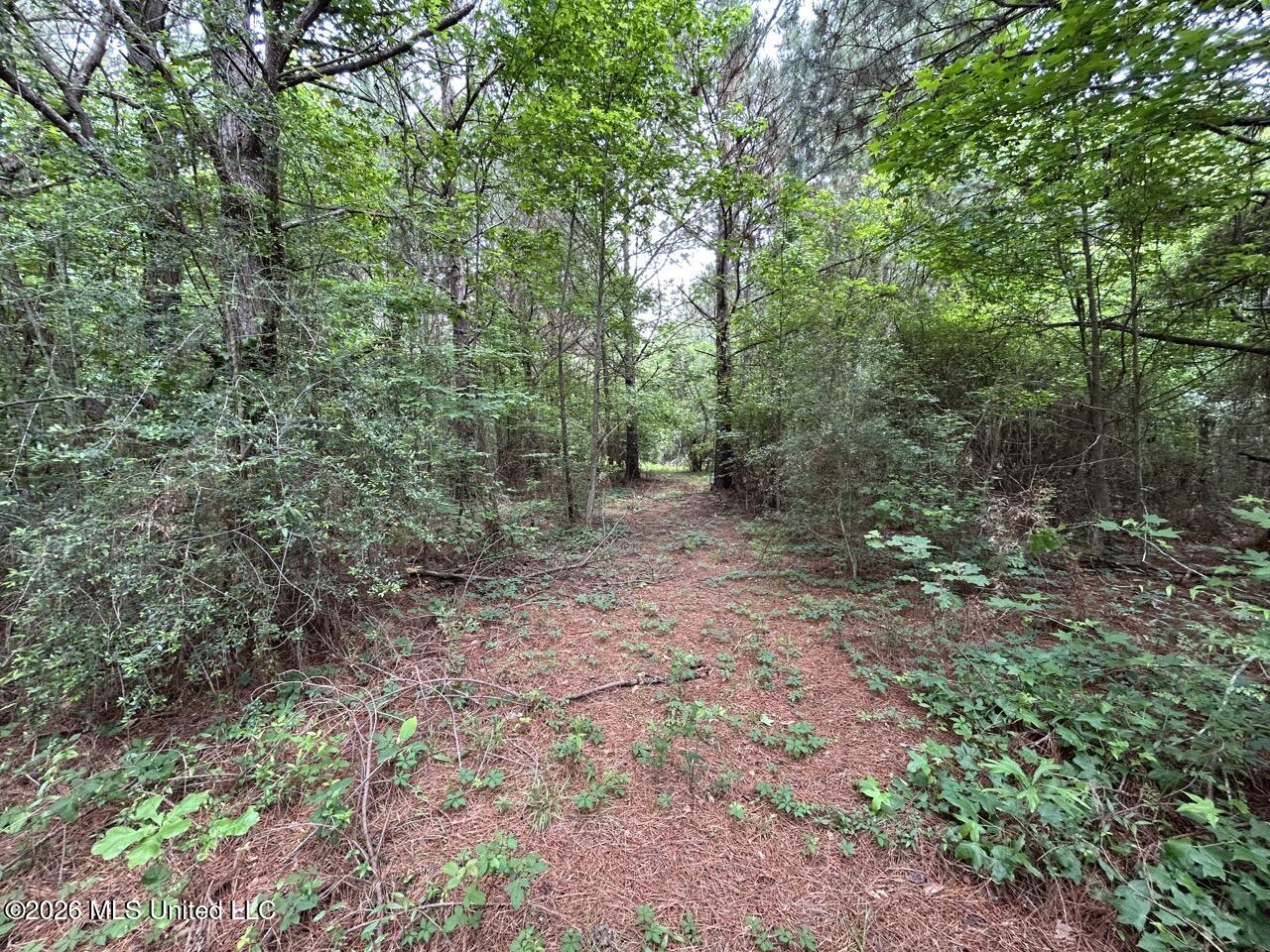 4155 Sterling Lane Liberty, MS 39645 - Photo 20 of 23 IMG_4188 Large