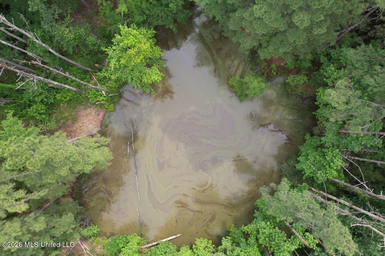 4155 Sterling Lane Liberty, MS 39645 - Photo 2 of 23 DJI_0010 Large