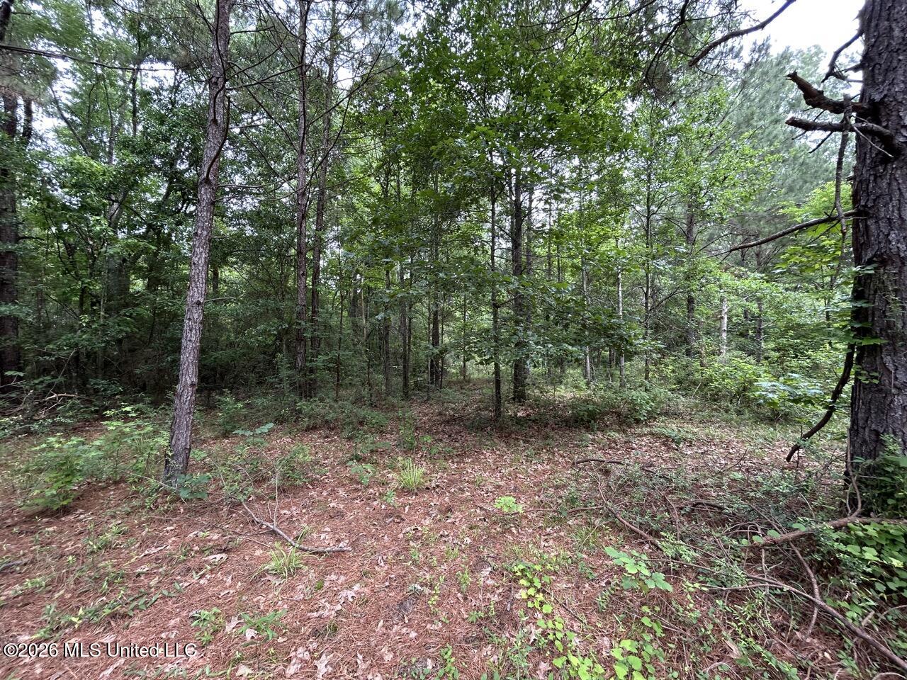 4155 Sterling Lane Liberty, MS 39645 - Photo 23 of 23 IMG_4192 Large