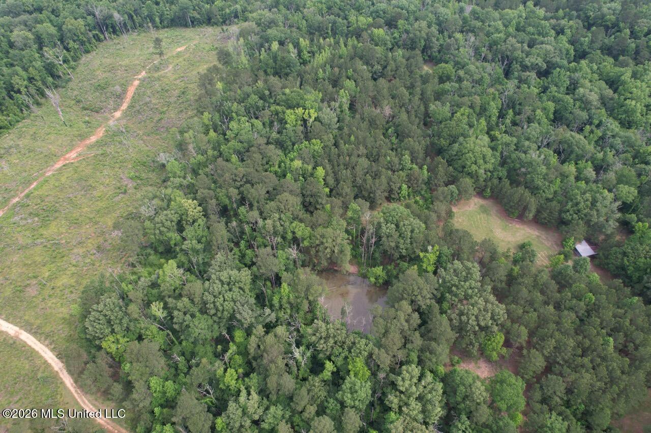 4155 Sterling Lane Liberty, MS 39645 - Photo 3 of 23 DJI_0020 Large