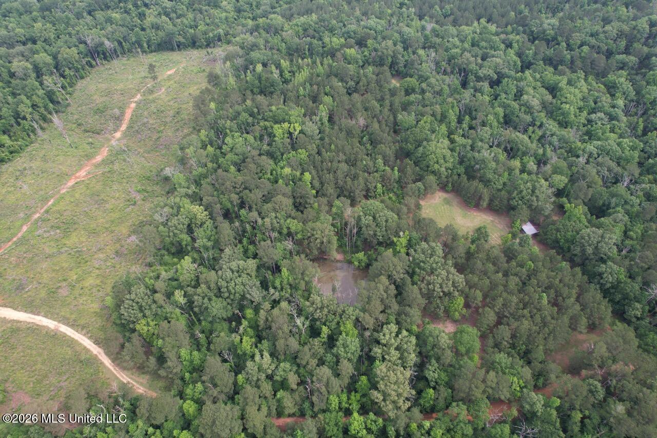 4155 Sterling Lane Liberty, MS 39645 - Photo 4 of 23 DJI_0021 Large
