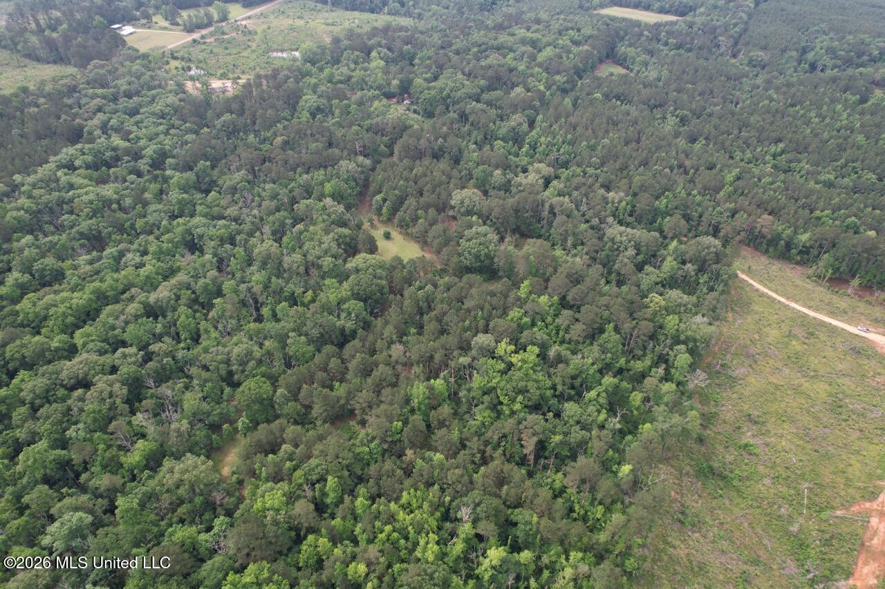 4155 Sterling Lane Liberty, MS 39645 - Photo 5 of 23 DJI_0023 Large