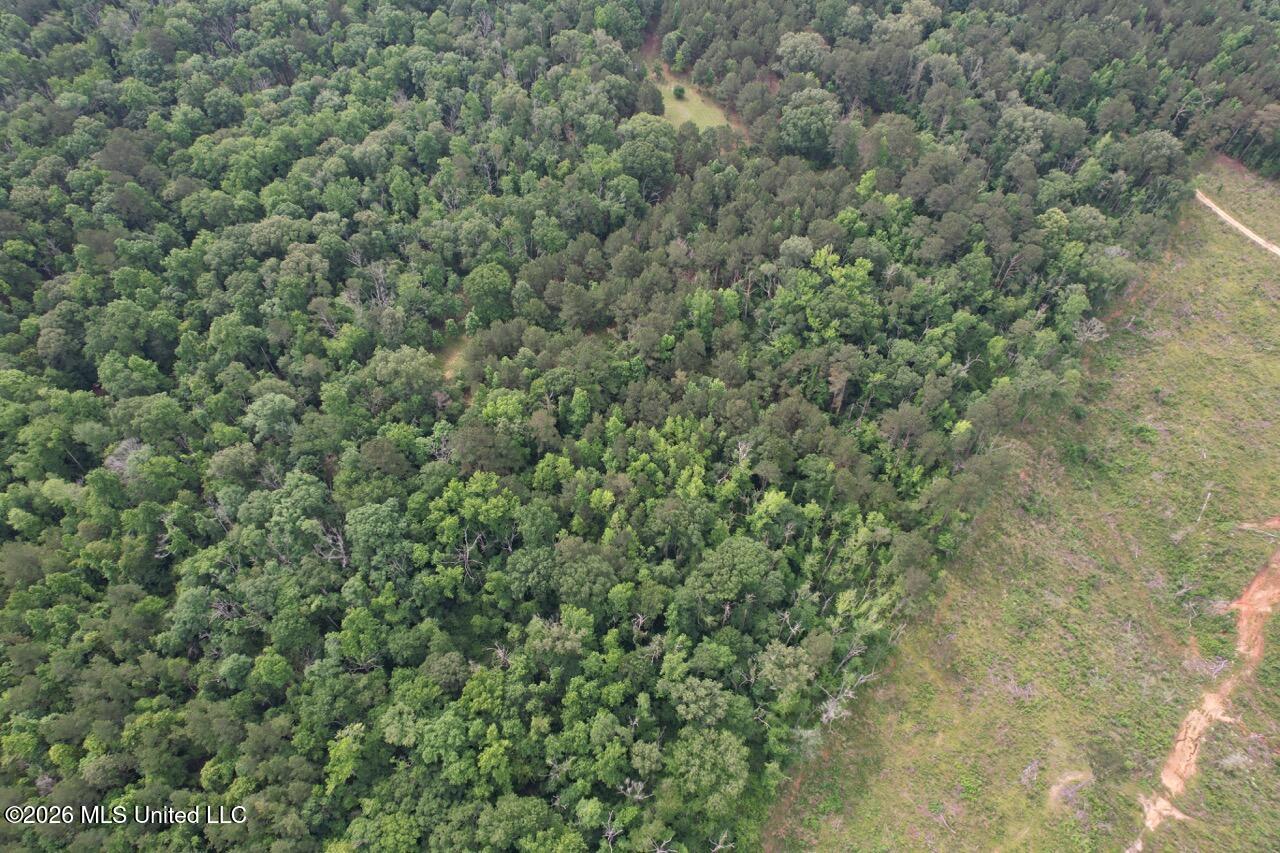 4155 Sterling Lane Liberty, MS 39645 - Photo 6 of 23 DJI_0024 Large
