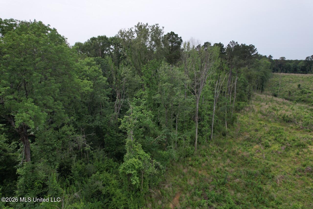 4155 Sterling Lane Liberty, MS 39645 - Photo 7 of 23 DJI_0029 Large