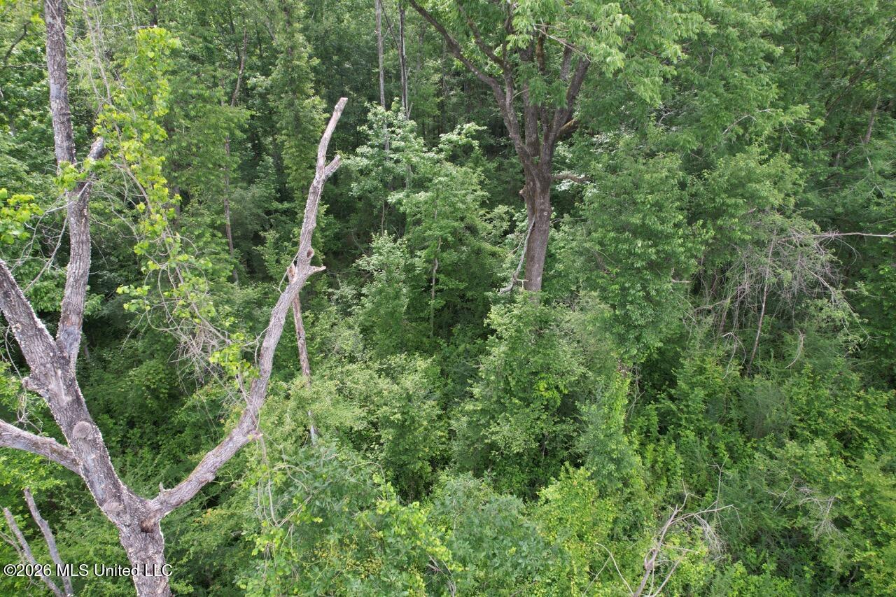 4155 Sterling Lane Liberty, MS 39645 - Photo 8 of 23 DJI_0030 Large
