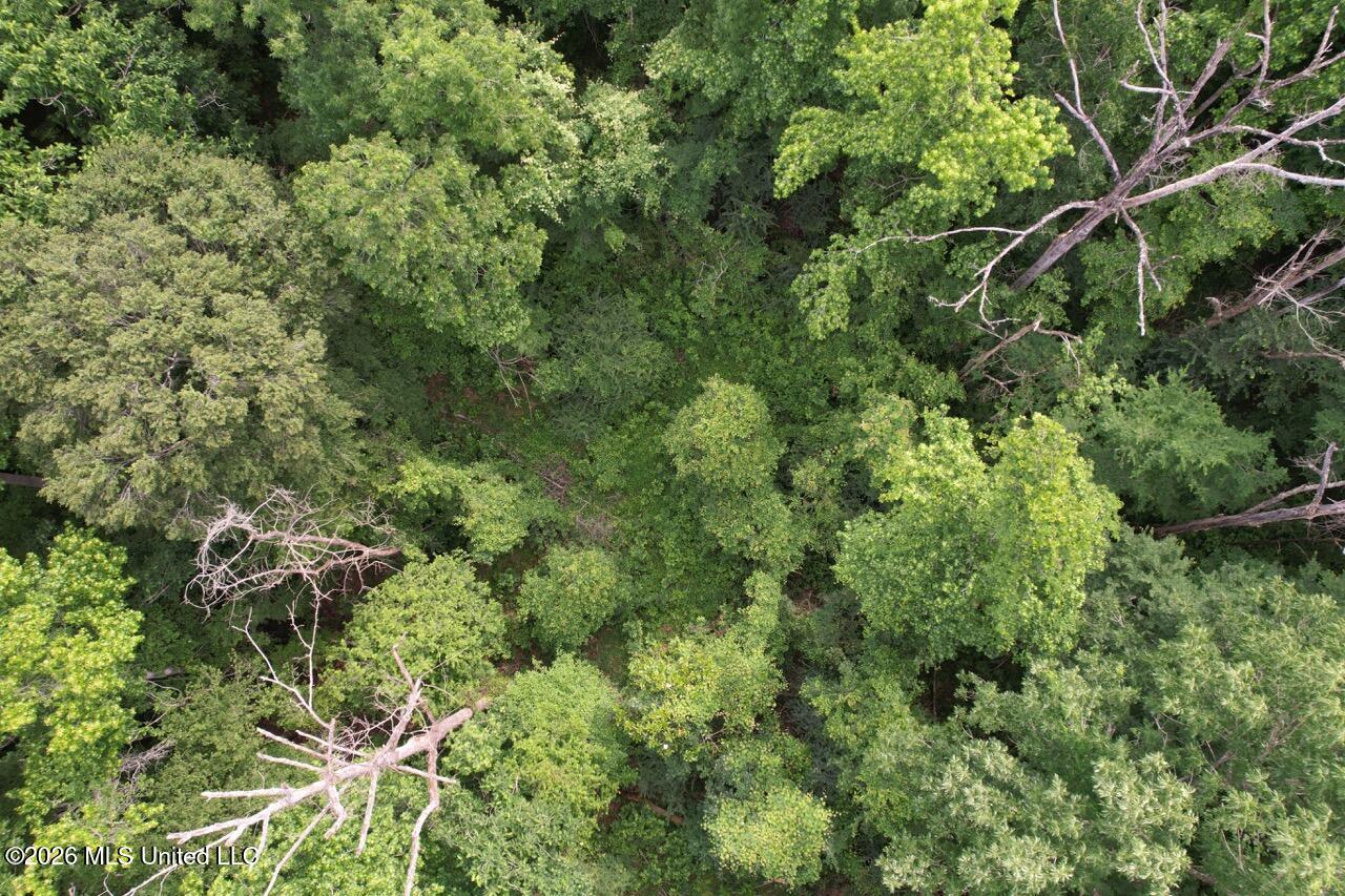 4155 Sterling Lane Liberty, MS 39645 - Photo 9 of 23 DJI_0032 Large