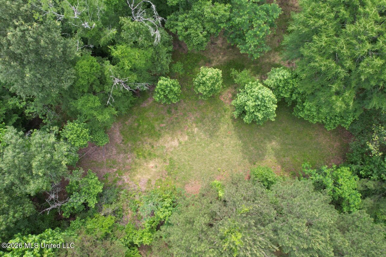 4155 Sterling Lane Liberty, MS 39645 - Photo 10 of 23 DJI_0033 Large