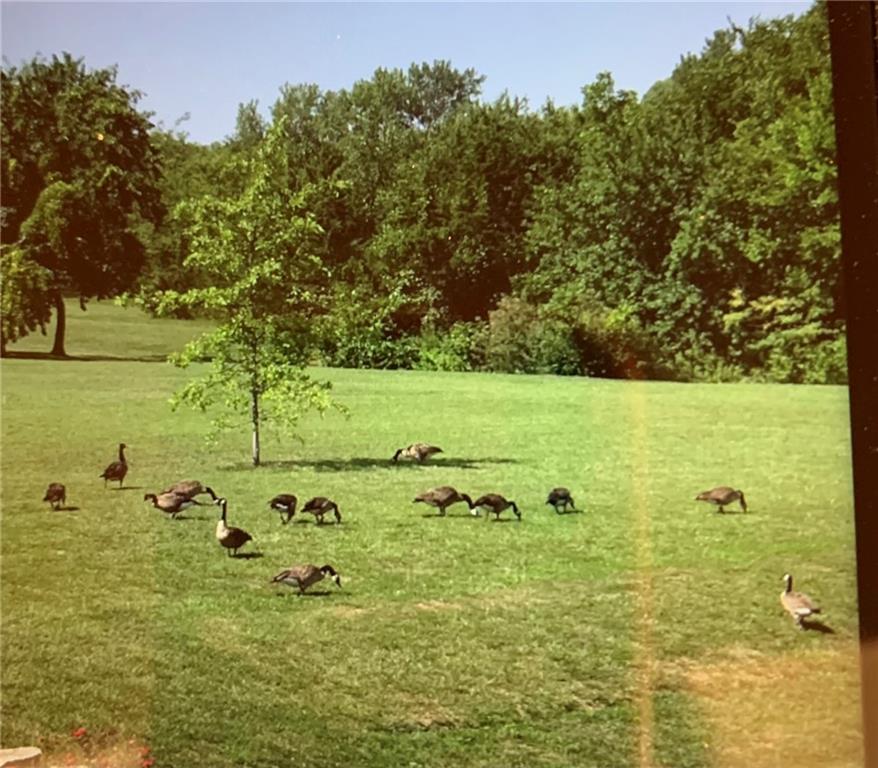 23478 Switzer Road Bucyrus, KS 66013 - Photo 33 of 40