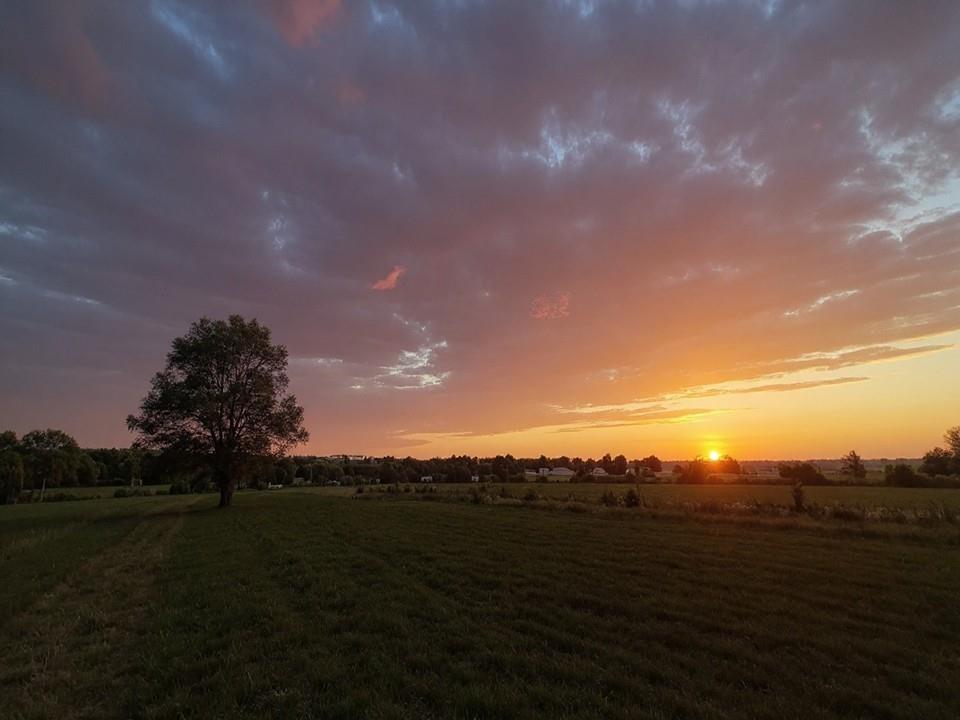 23478 Switzer Road Bucyrus, KS 66013 - Photo 36 of 39