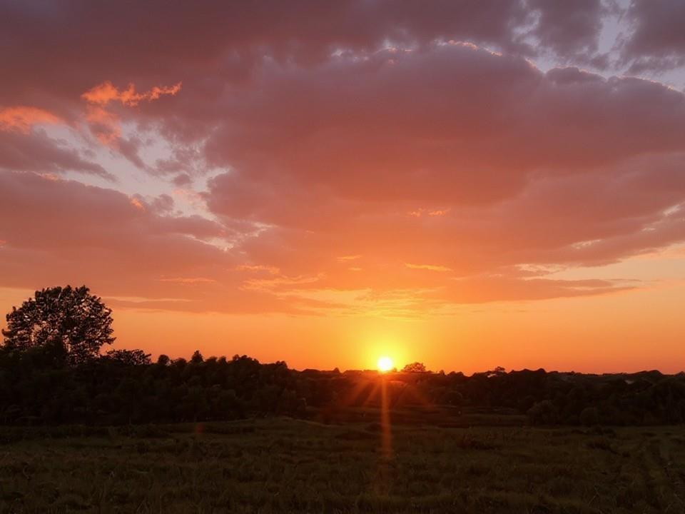 23478 Switzer Road Bucyrus, KS 66013 - Photo 40 of 40
