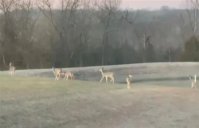 $1,499,000 | 23478 Switzer Road, Bucyrus, KS 66013