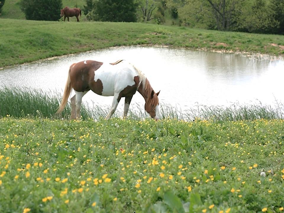 23478 Switzer Road Bucyrus, KS 66013 - Photo 6 of 39