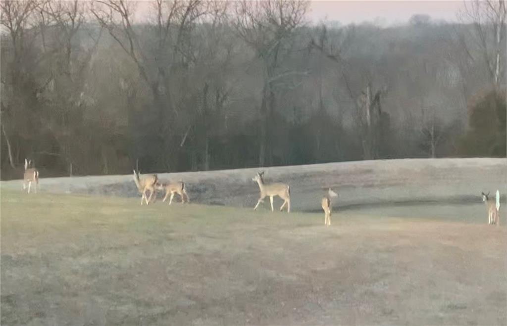 23478 Switzer Road Bucyrus, KS 66013 - Photo 6 of 40