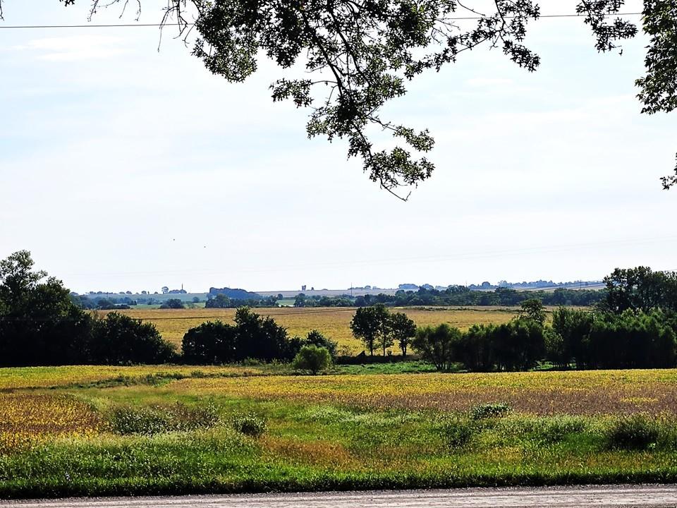 23478 Switzer Road Bucyrus, KS 66013 - Photo 9 of 40