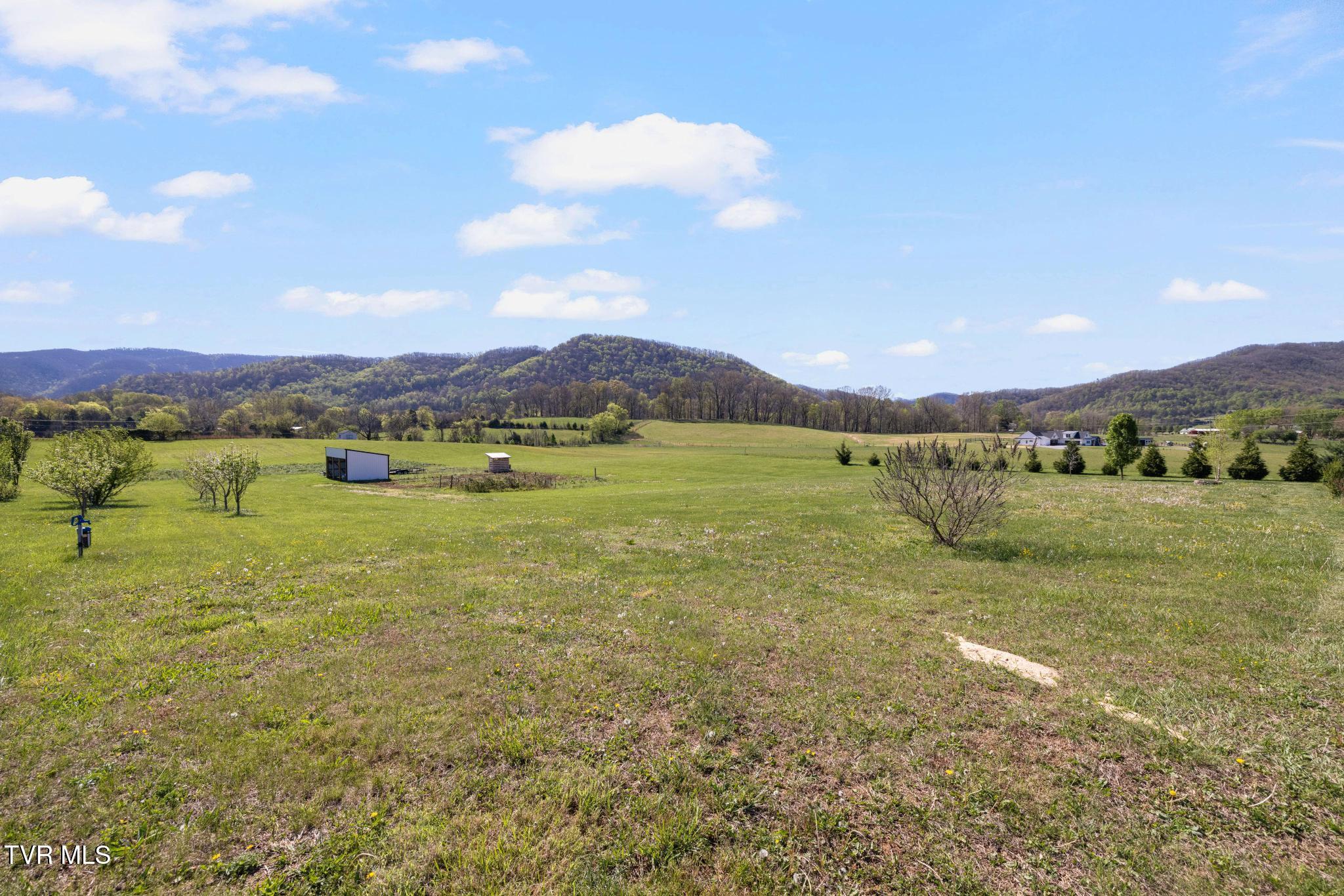322 Arrowood Road Jonesborough, TN 37659 - Photo 52 of 58 Back yard with 5 acres