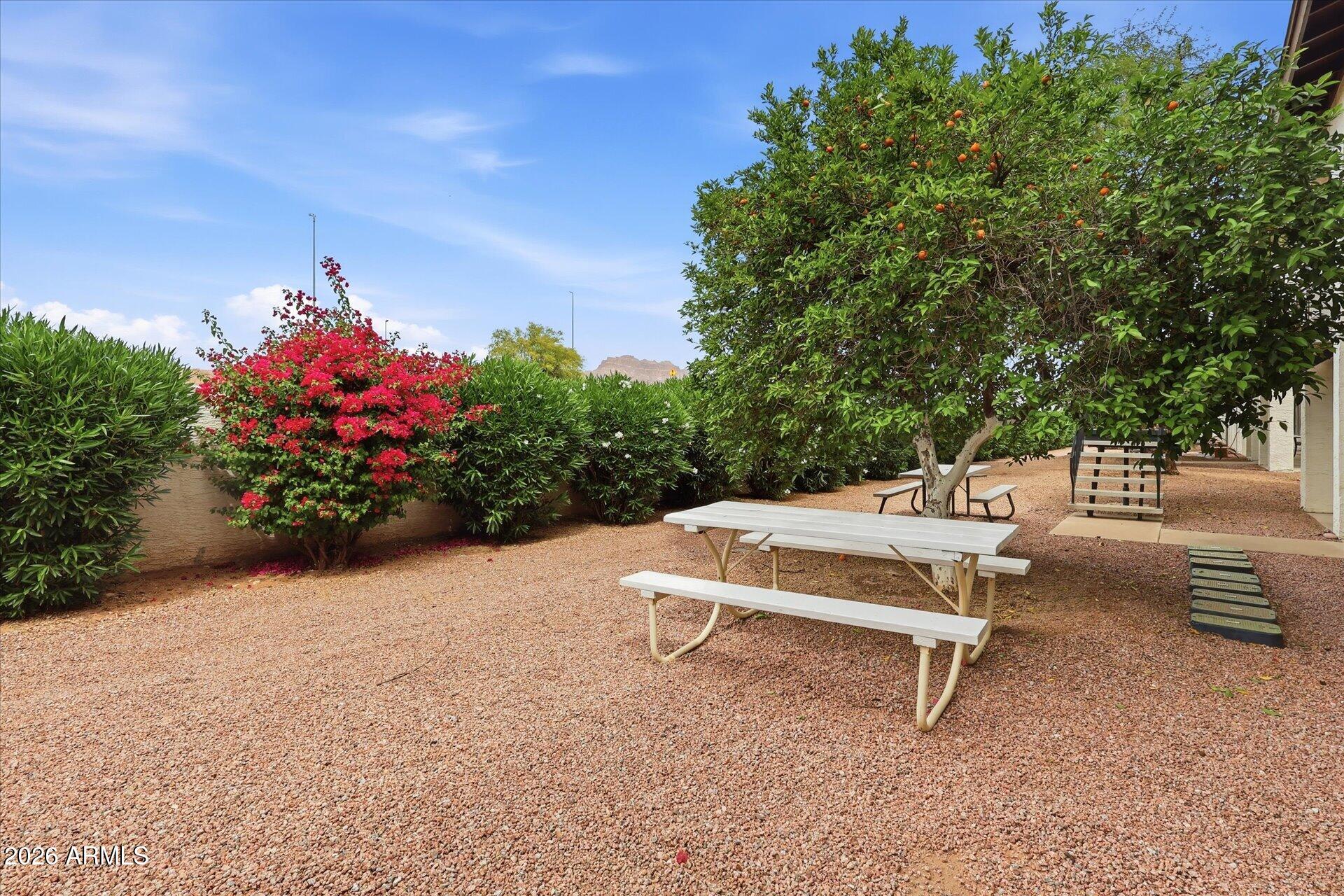 3270 South Goldfield Road, Unit 716 Apache Junction, AZ 85119 - Photo 16 of 36 a wooden bench sitting in the middle of a yard