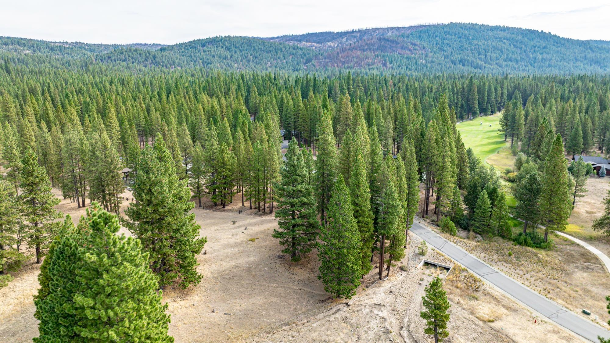 503 Redtail Loop Road Clio, CA 96106 - Photo 10 of 38 Gallery Image 10