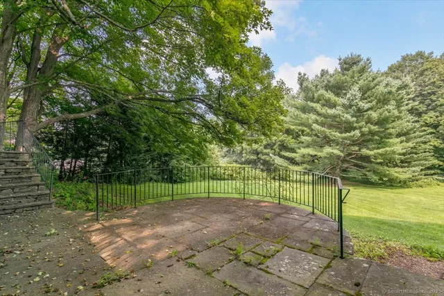 a view of a park with a large trees