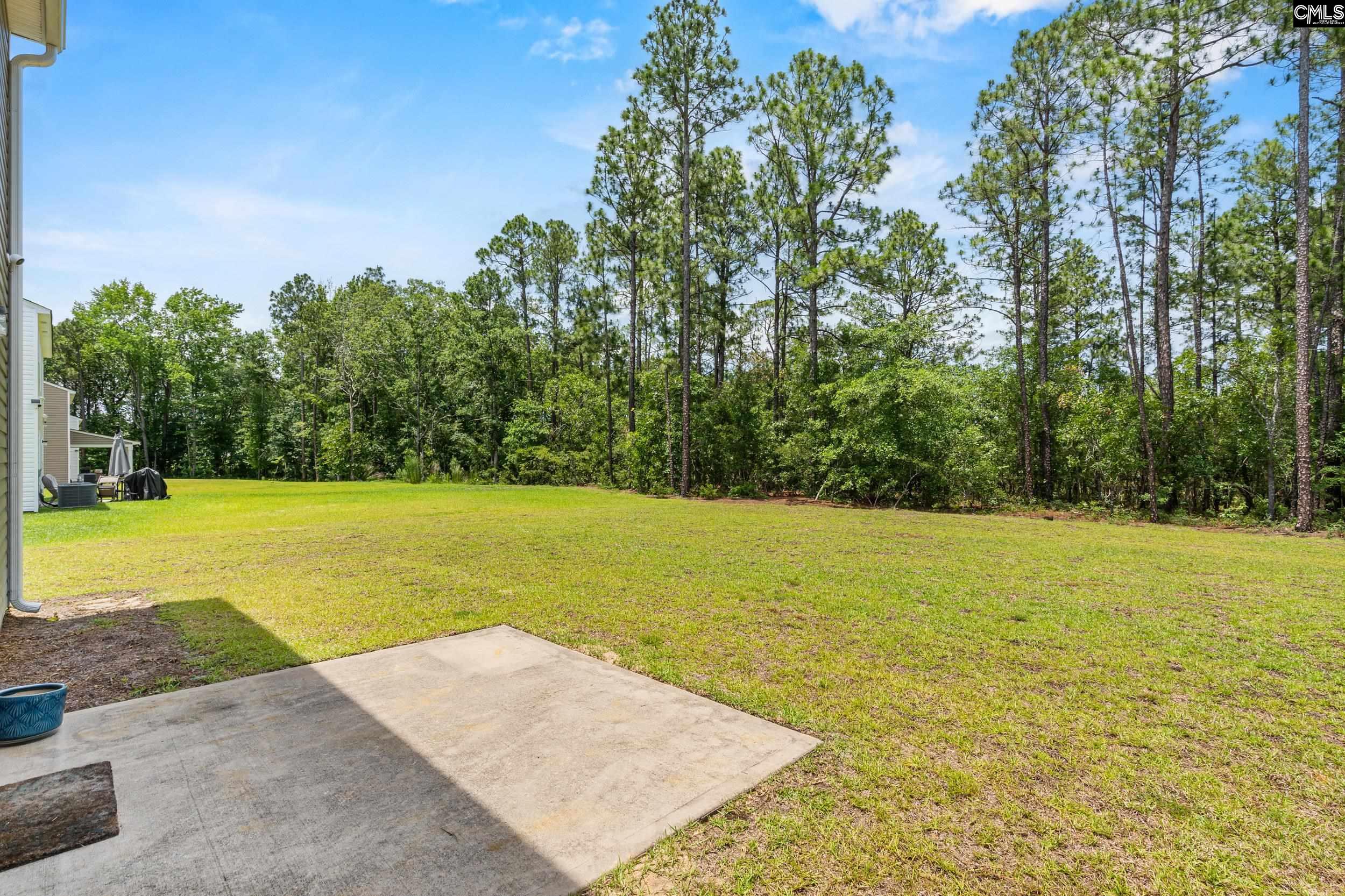 117 Heather Ridge Drive Gaston, SC 29053 - Photo 4 of 34