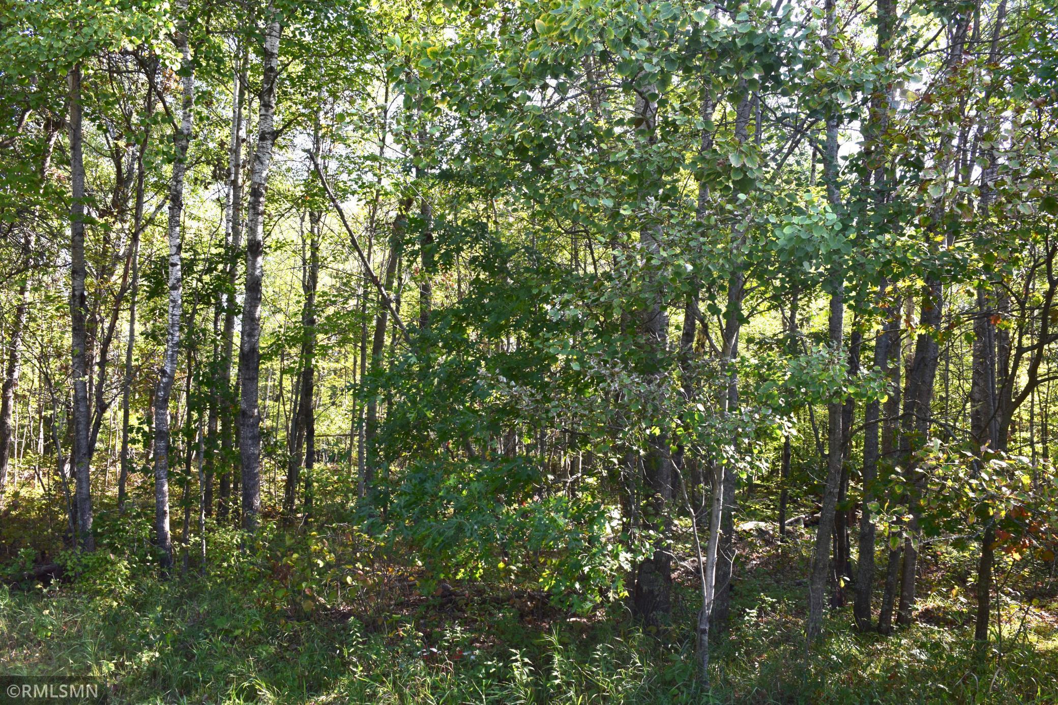 Lot 14 Blue Ridge Drive Breezy Point, MN 56472 - Photo 1 of 1 Gallery Image 1