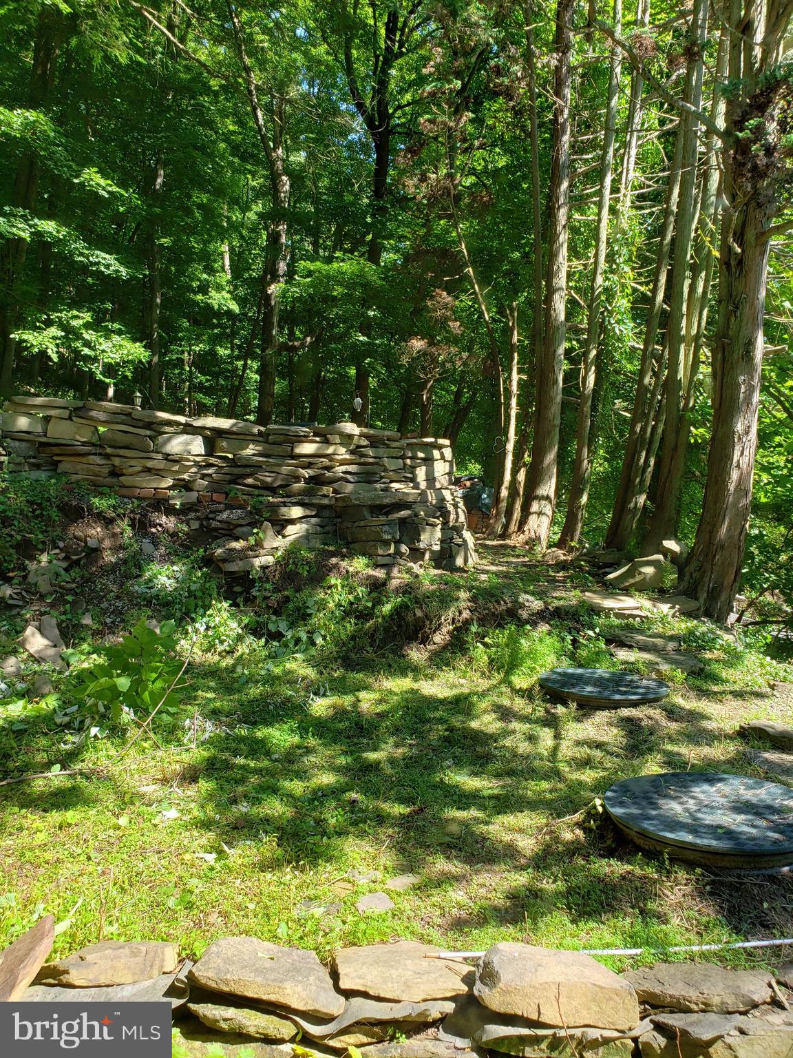 245 River Road Pipersville, PA 18947 - Photo 21 of 22 Side Yard